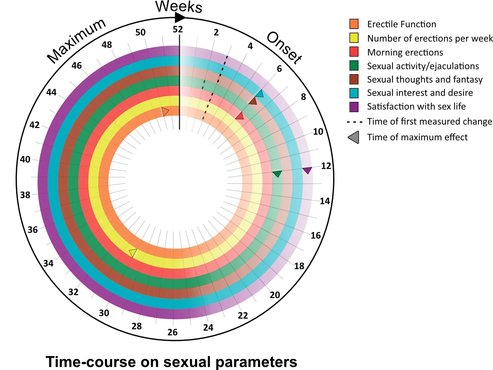 Figure 4: Timeline chart showing testosterone therapy effects on sexual function parameters over 12+ months
