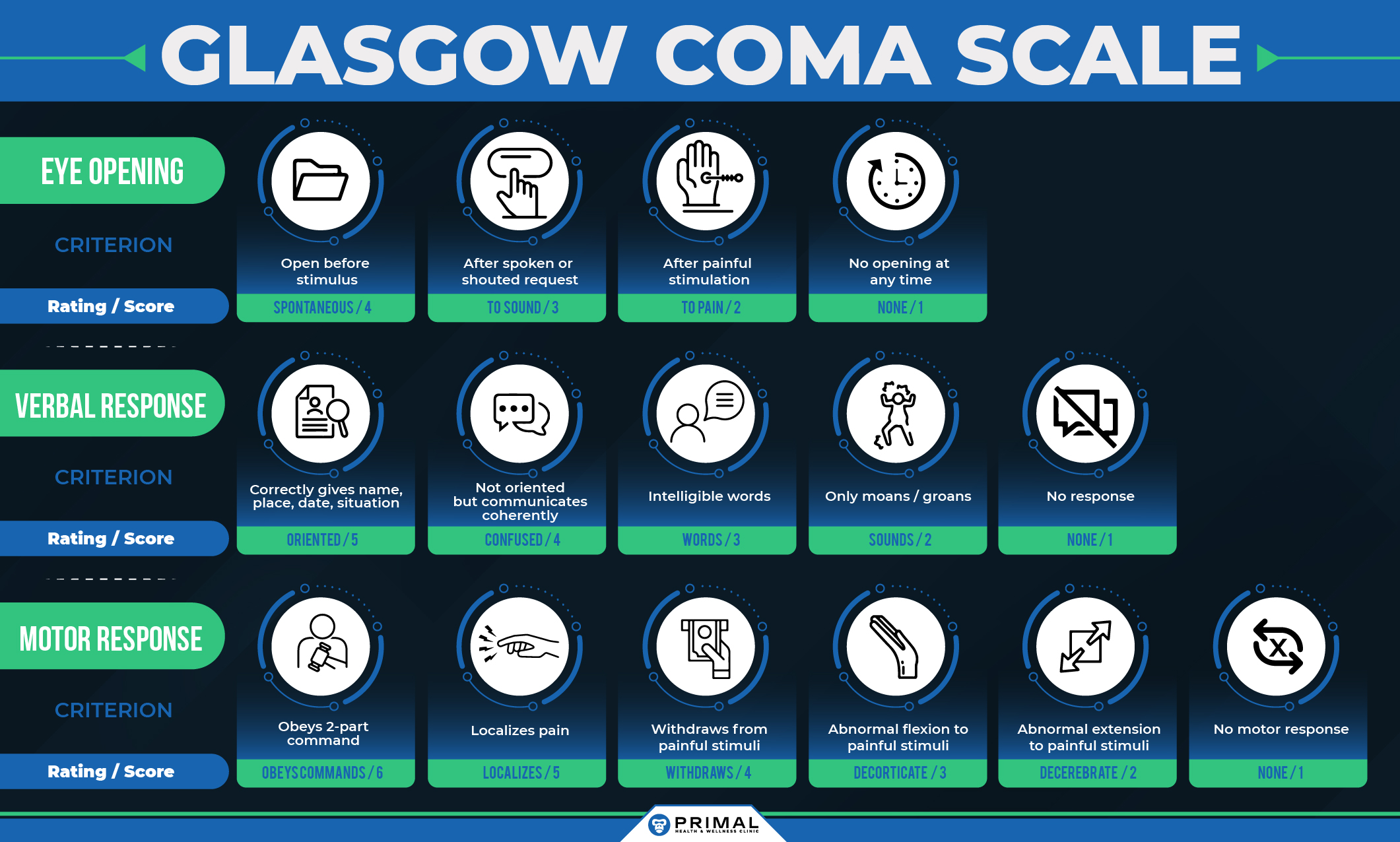 glasgow coma scale diagram